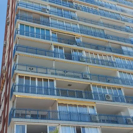 Palmeras 1° Linea Playa Benidorm