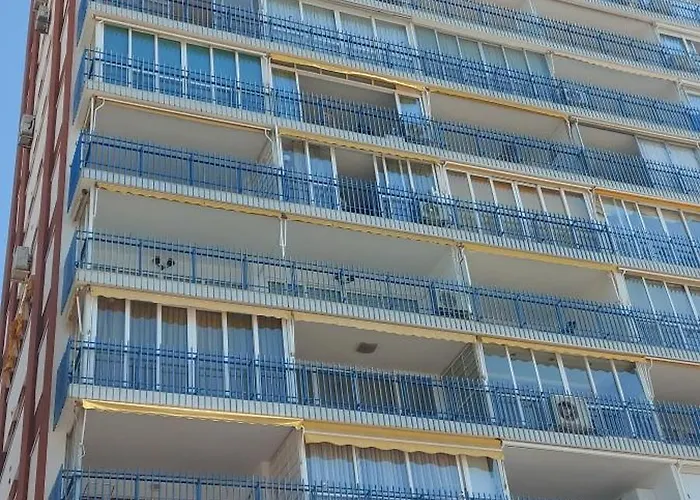 Palmeras 1° Linea Playa Benidorm