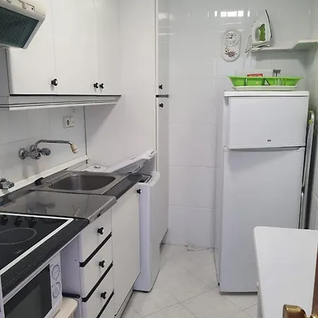 Palmeras 1° Linea Playa Benidorm